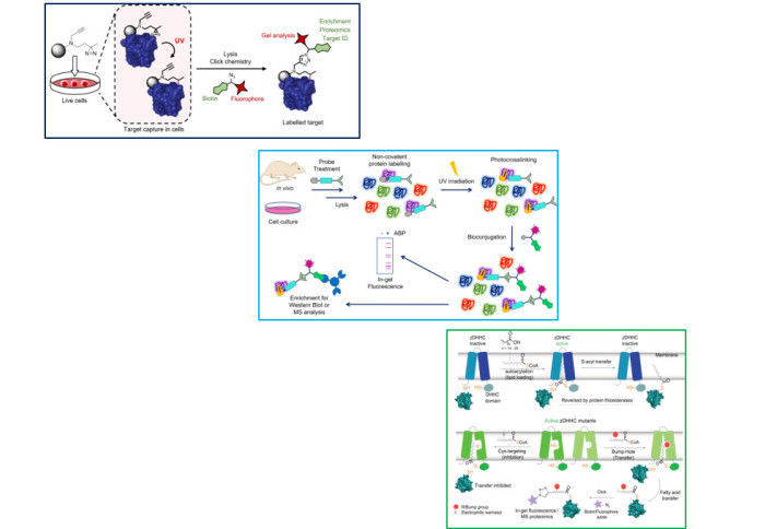 Research abstracts