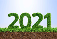 The top green resolutions to make for 2021