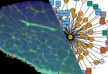 National Phenome Centre expands in to proteomics and imaging