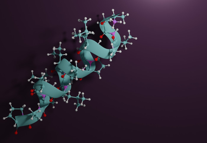 Digital image of a peptide sequence
