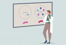 AI analysis of how bacteria attack could help predict infection outcomes
