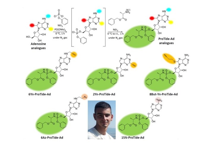 novel prodrug nucleotide probes synthesised by Simeon Draganov