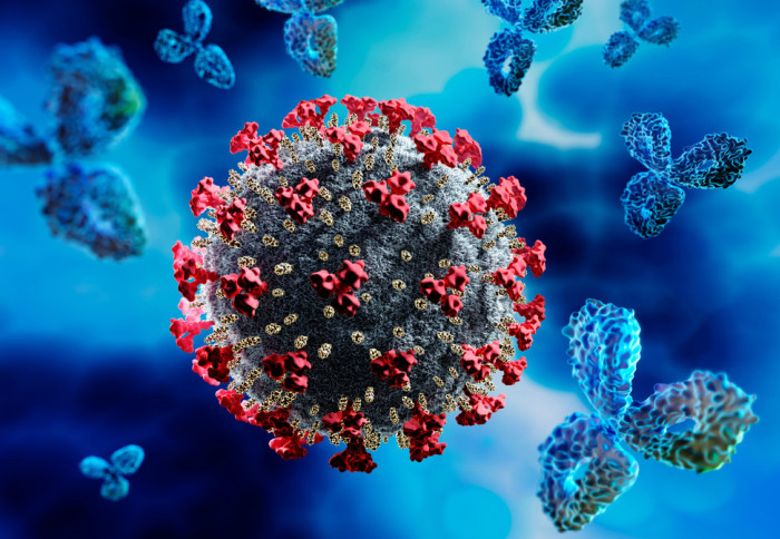 immune response to SARS-CoV-2 virus