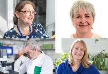 Outstanding Infectious Disease staff celebrated at 2021 President’s Awards