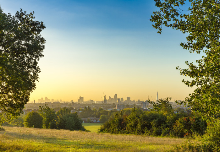 A view of Central London from Hampstead Heath