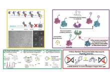 PG symposium 2021 winners 