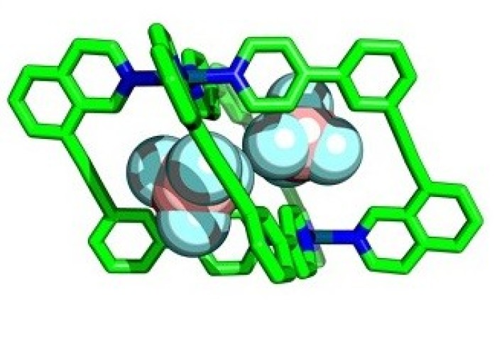 Molecular structure of rings encapsulating smaller molecules