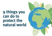   9 things you can do to protect the natural world 