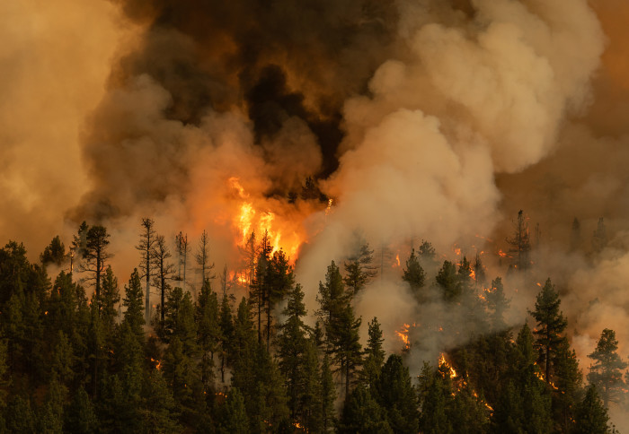 Image of a forest fire on the eastern edge of California in July 2021