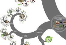 Visually stunning tree of all known life unveiled online