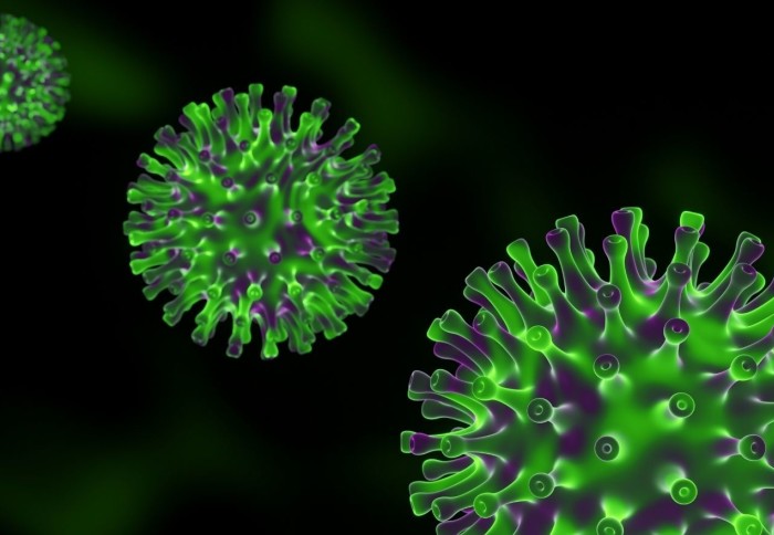 Omicron virus particle