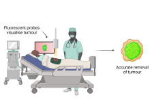 Grant awarded for research on fluorescent probes for cancer surgery