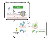 2022 RSC CBBG prize winners