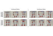 GlobDesOpt: A Global Optimisation Framework for Optimal Robot Manipulator Design