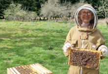 World Bee Day: Imperial bee scientists share their research