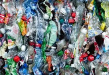 Pilot study to assess the respiratory health of workers in recycling facilities