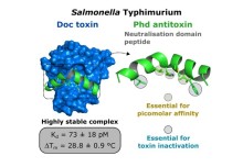 Publication in ACS Chemical Biology