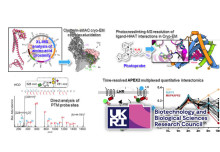 BBSRC proteomics equipment grant awarded 