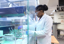 African seed fund for research and education launched by Imperial