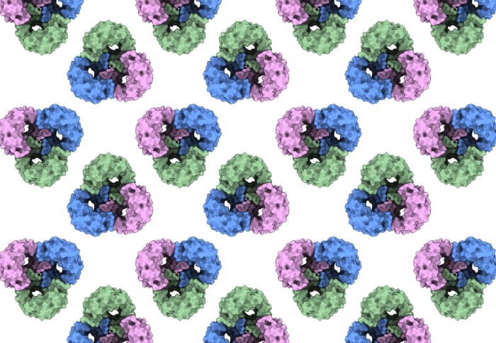 Repeating pattern of a protein illustration, made of green, pink, and blue rounded sections