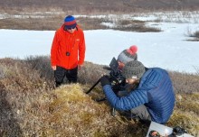 Q&A: Helping the BBC film bumblebees in the Arctic