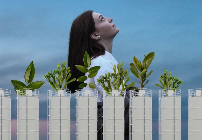 Stylised image of woman looking upwards behind green infrastructure