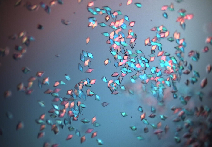 A scatter of protein crystals. Credit: Xiaoyu Li