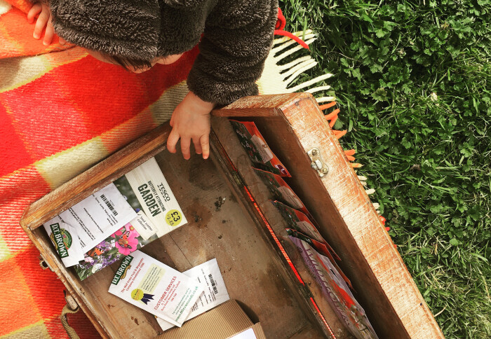 A box of seeds in a garden