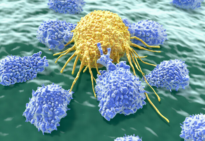 Natural killer attack a cancer cell