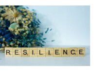 Resilience scenarios for Integrated Water Systems - £330K DAFNI funded project