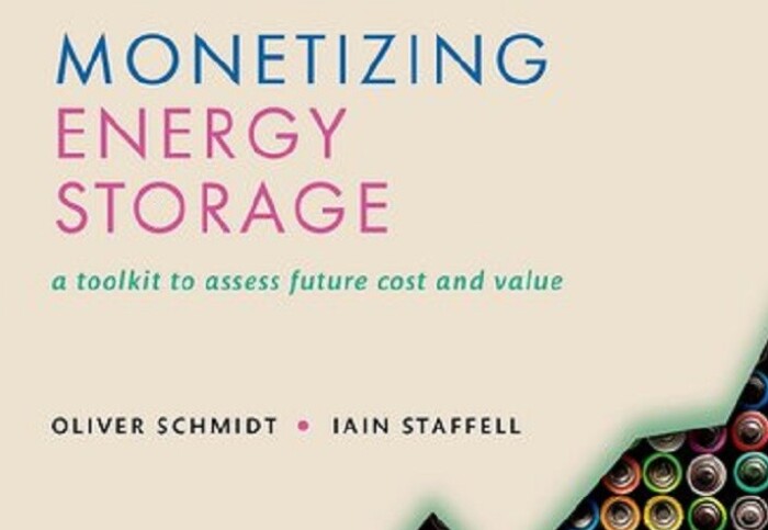 Cover of the book showing the title 'Monetizing Energy Storage'