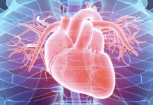 Seven ways Imperial researchers are caring about heart health