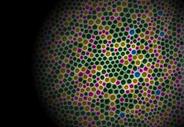 Breath figure pore structures and Voronoi tesselation, spontaneously form on a polymer particle generated in acoustic levitation