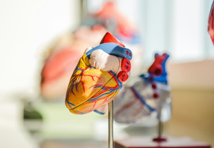 Heart model scan image