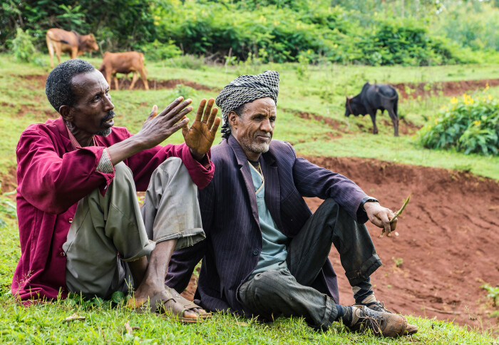 Two men sit on grass with cows in backgroun