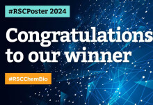 Jana Volarić wins RSC Poster Competition 2024