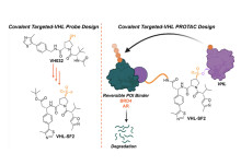 Discovery of first generation of covalent VHL-recruiting PROTACs