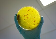 Fleming Initiative featured in National Action Plan on antimicrobial resistance