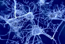 Reduced clearance of damaged microglia contributes to Alzheimer’s progression