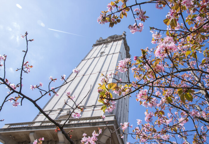Imperial Tower in Spring