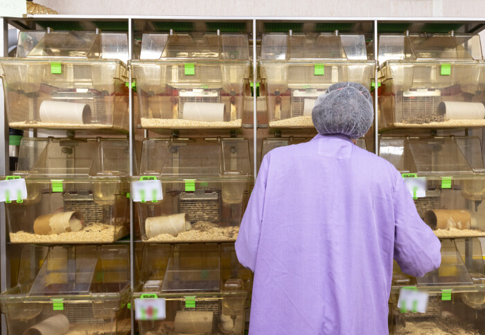 Photo of a scientist inside an animal research facility. She has her back to the camera and stands in front of a bank of rat houses.