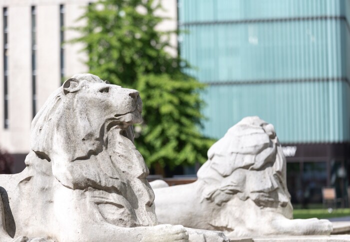 Lion statues on campus