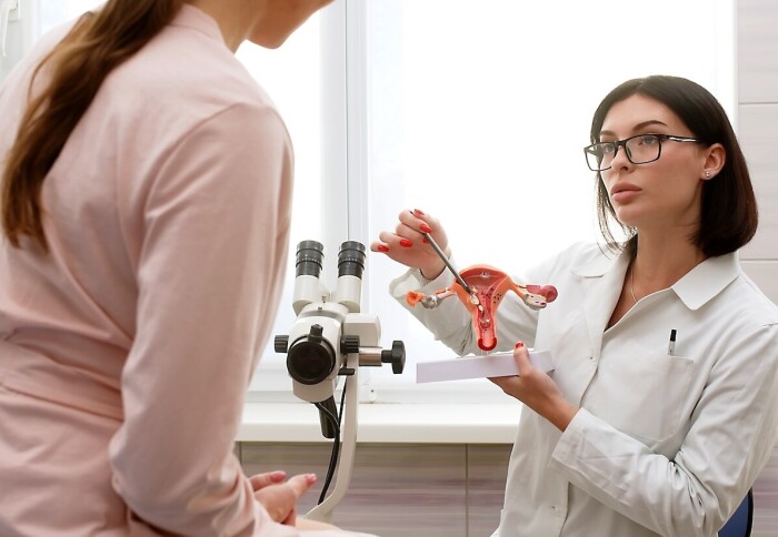 A gynecologist explains female diseases to a patient