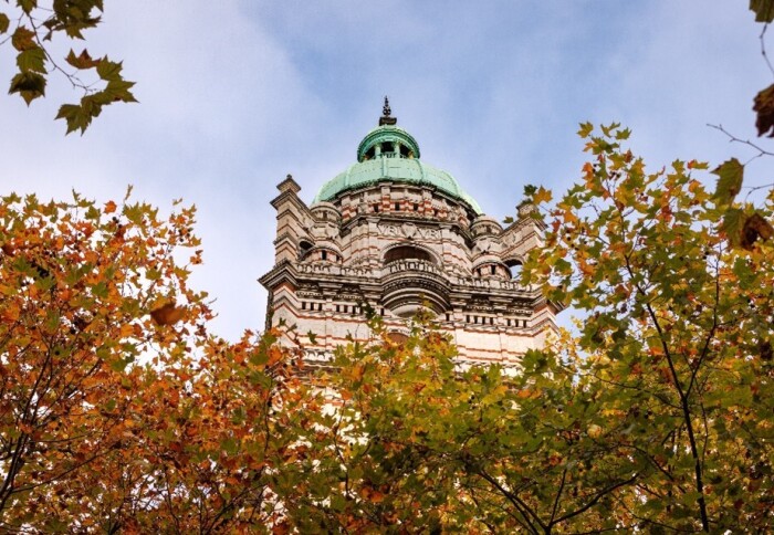 Top of Queens Tower behind autumnal trees