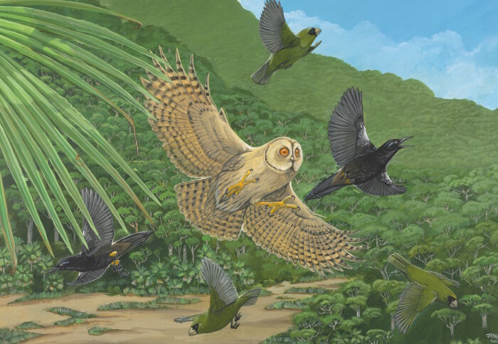 Illustration of 5 birds in a tropical landscape