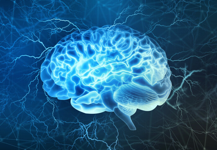 Brain image (Shutterstock)