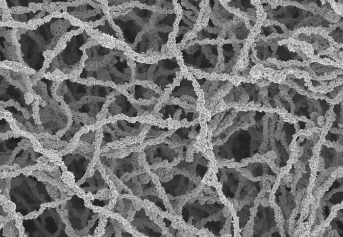 Electron microscope image of porous material