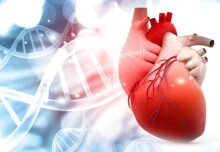 Researchers find new genetic explanation for heart condition 