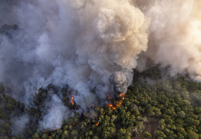 Smoke rising from forest fire