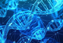 DNA Markers Influence Gene Expression in Different Cells and Tissues